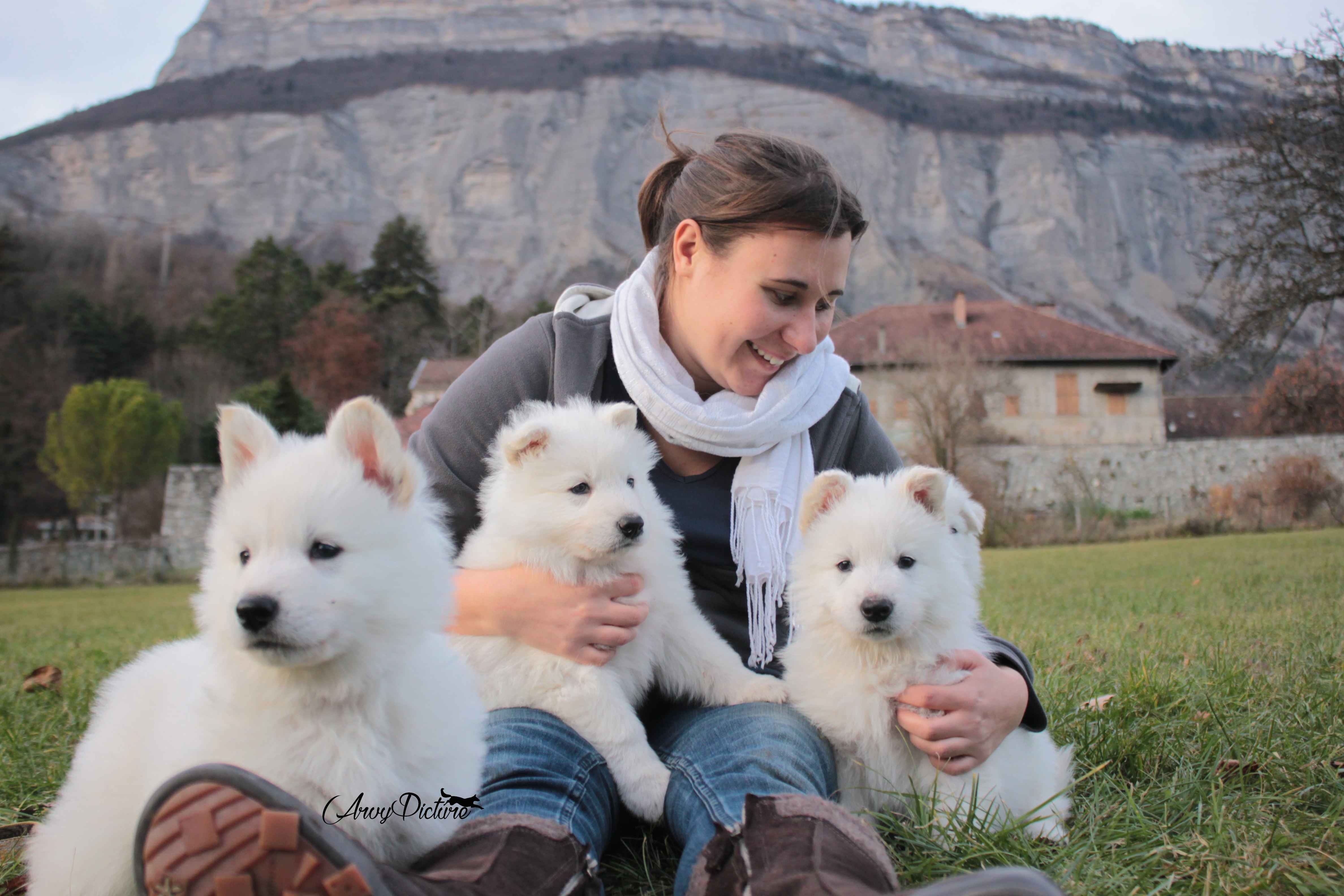 De La Tanne Aux Loups